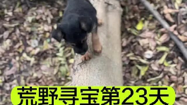 荒野寻宝的第23天冬天不让我去天空之城