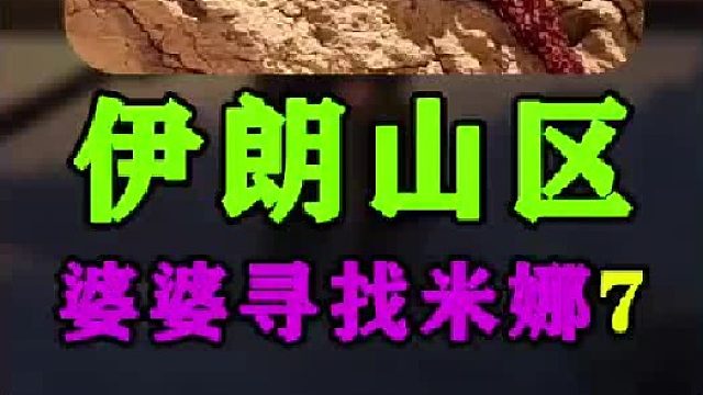 米娜婆婆明天准备再次去寻找米娜一家