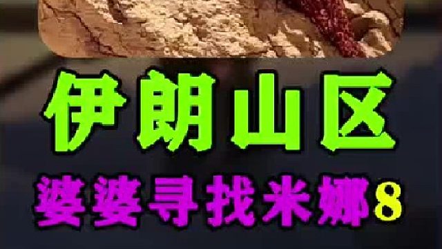 今天米娜婆婆跑了很多地方寻找米娜一家