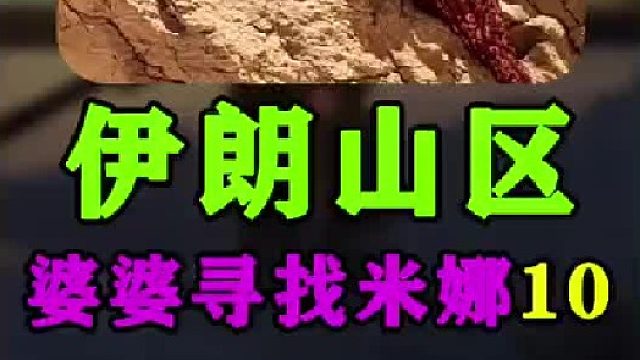 米娜婆婆和小叔子去了小女儿追求者家中商量婚事以及最近几天发生的事情