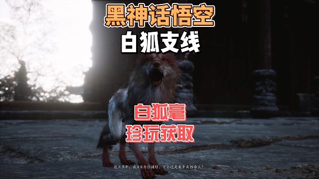 保姆级攻略之《白狐隐藏支线》及珍玩白狐毫和不空精魄获取方式