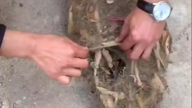 高端的食材往往只需要最简单的烹饪方式