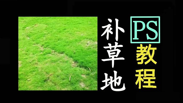 ps补草地PS怎么补草地ps怎么补草ps怎么补草坪ps怎么给草坪补草PS