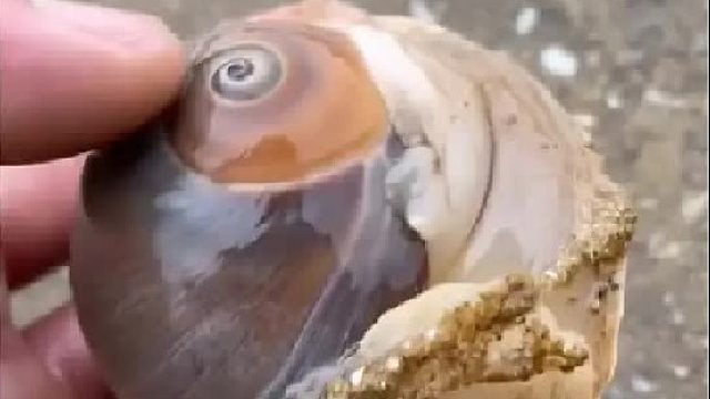 带你去体验渔民的生活