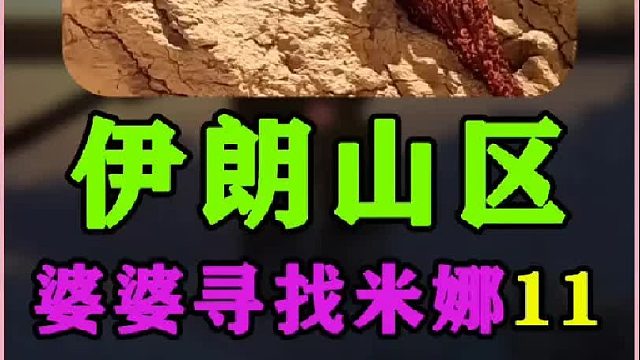 伊朗女人米娜婆婆最新进展为孙儿们制作石榴酱 (1)