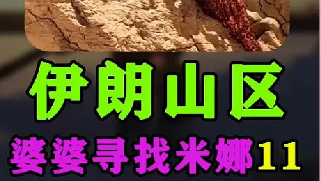 伊朗女人米娜婆婆最新进展为孙儿们制作石榴酱  (2)