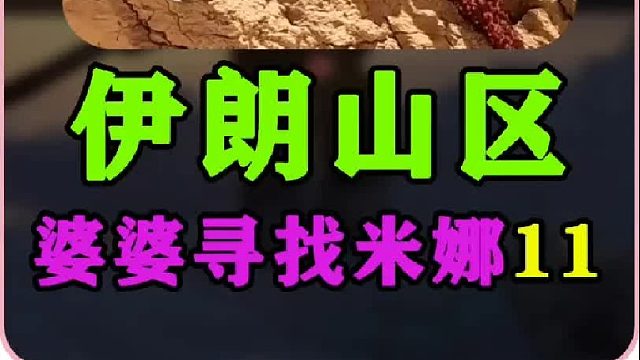 伊朗女人米娜婆婆最新进展为孙儿们制作石榴酱  (3)