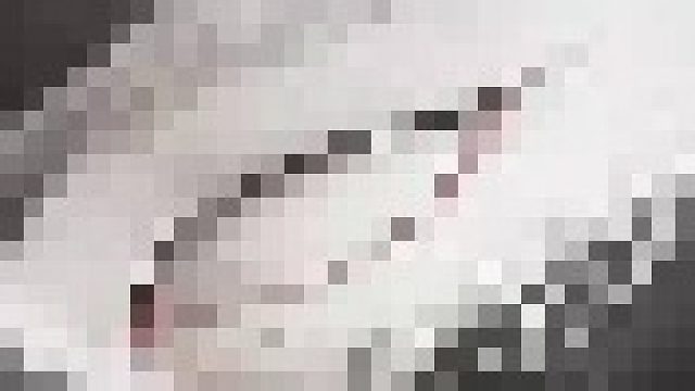 不用广智，轻松拿捏小黄龙