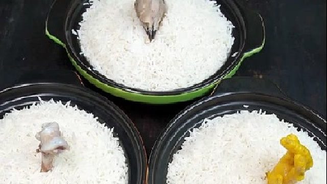 都是鸡，你们会怎么选呢？