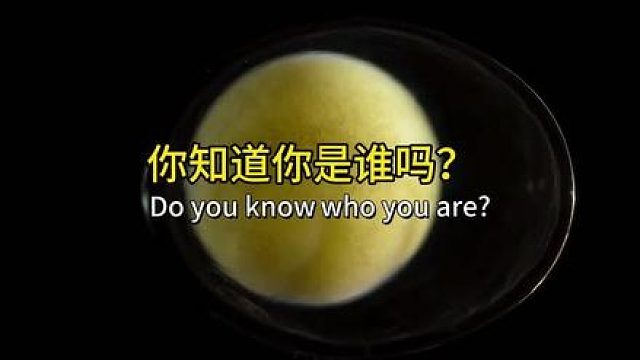 你真的知道你是谁吗