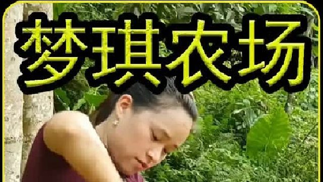 让您沉浸式观看  (3)