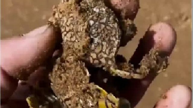 带你去体验渔民的生活