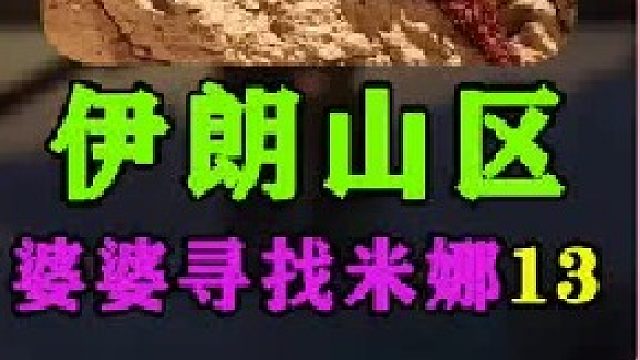 伊朗女人米娜婆婆最新进展今天腌制了咸菜