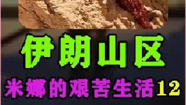 米娜的艰苦生活屋漏偏逢连阴雨