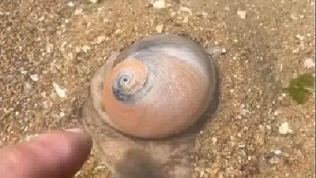 带你去体验渔民的生活