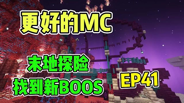 末地居然这么多船？：脚逗更好的MC