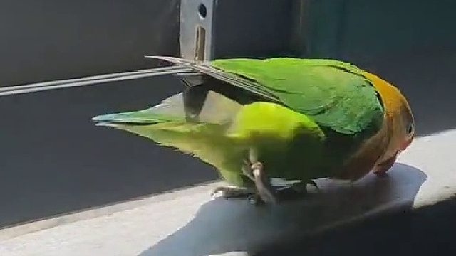 又是无聊的一天嘴都快磨出火花了