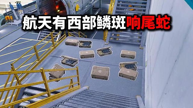 米老鼠行动 航天有西部鳞斑响尾蛇 三角洲行动