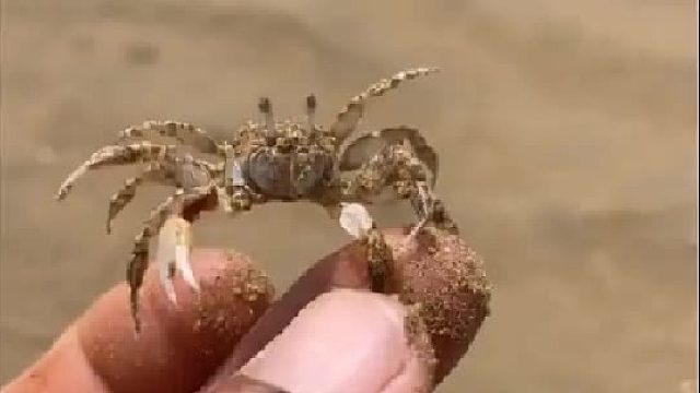 带你去体验渔民的生活