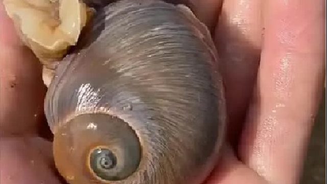 赶海赶海赶海啦