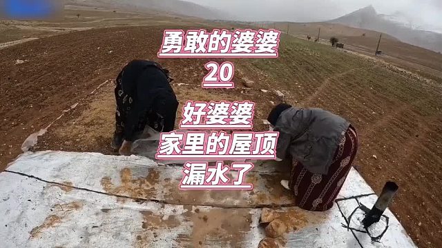 好婆婆美娜家里的屋顶漏水了，他冒着雨水上去修补