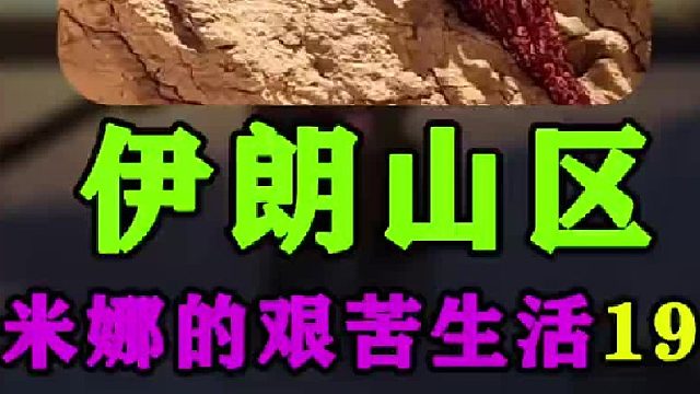 木梁屋顶基本建造完成