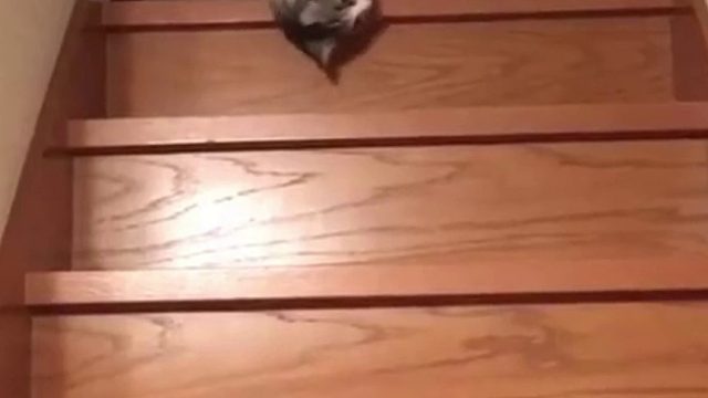 她好像在演我上班的样子