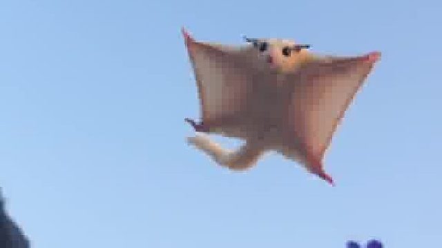 又过站了，小伙子～