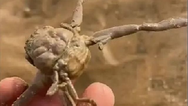 带你去体验渔民的生活