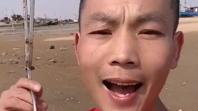 赶海赶海赶海啦