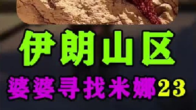 米娜婆婆去医院接小孙子回家