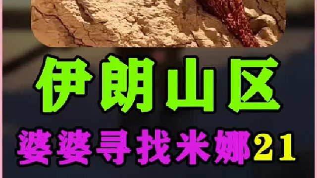 米娜婆婆一家制作羊毛枕头