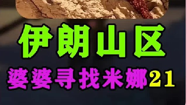 米娜婆婆寻找米娜一家却无意间帮别人找到自己女儿