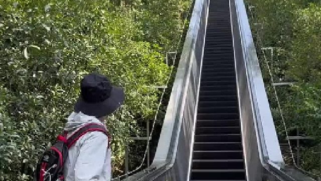 电梯厂：我也懵啊，给山安电梯，当初接到这个单子，我以为遇上诈骗集团了，差点就给他举报了