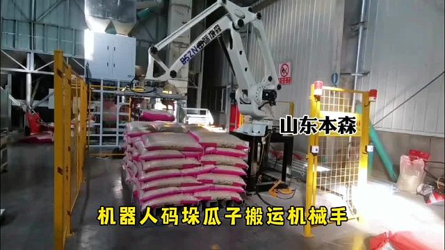 机器人码垛瓜子搬运机械手