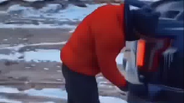 无人区遇到牦牛是一种怎样的体验？