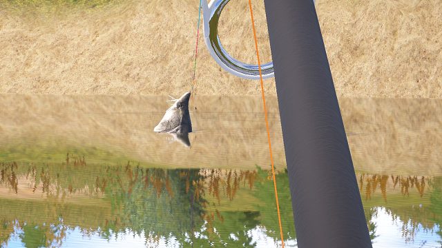 640的星鳇漏头视频