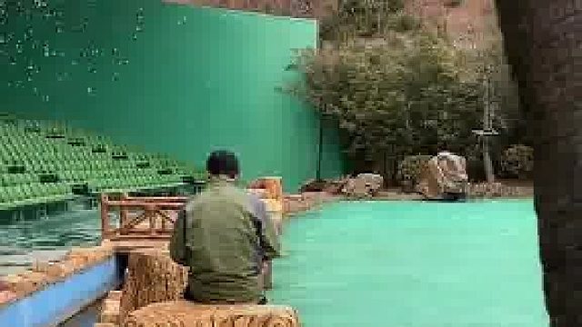 感觉大象咧嘴笑起来有点贱兮兮的