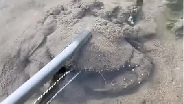 带你去体验渔民的生活