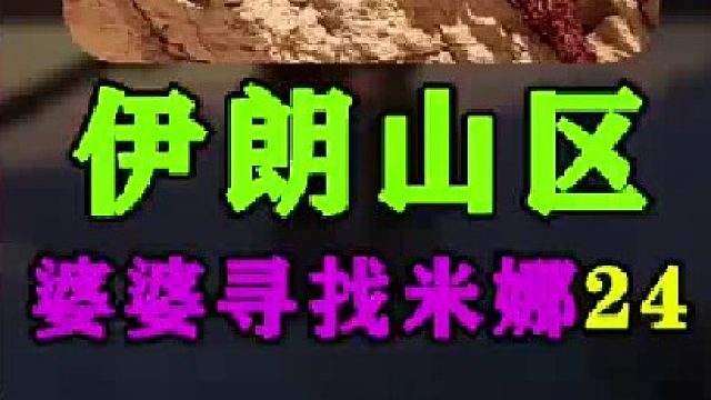 米娜婆婆家也安装了太阳能灯