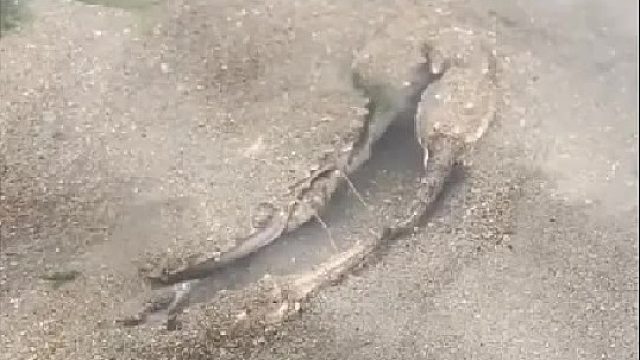 赶海赶海赶海啦