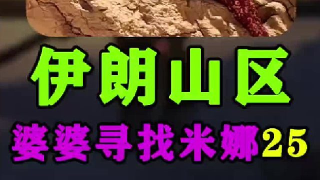 米娜婆婆家中买了燃气加热炉