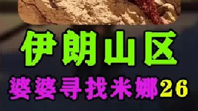 米娜小叔子发现 大妹男朋友和别的女人约会