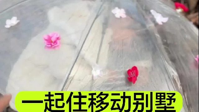 今天和小宝一起住了我们的移动别墅