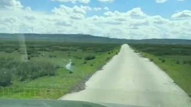 “盲啊，都盲啊，都盲点好啊”