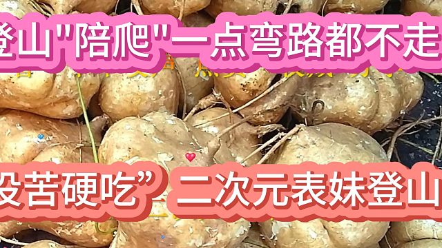 “没苦硬吃”二次元表妹登山"陪爬"一点弯路都不走!10月9日 (1)