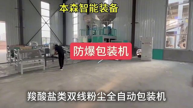 羧酸盐类双线粉尘防爆全自动包装机