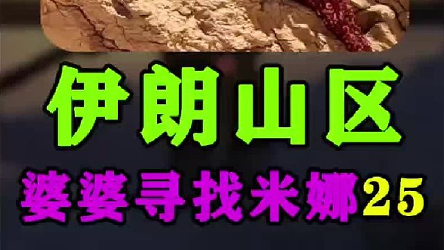 米娜婆婆一家为毛驴和骡子建造畜棚