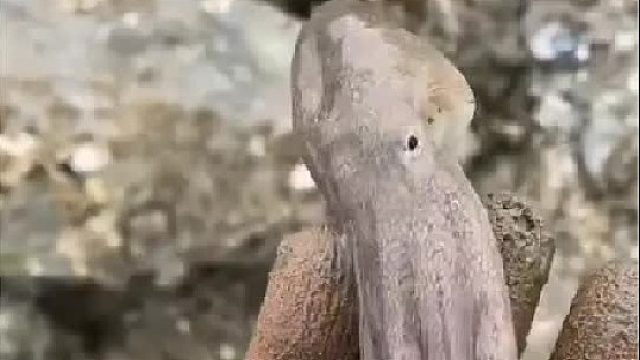 带你去体验渔民的生活