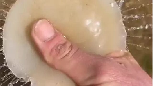 赶海赶海赶海啦